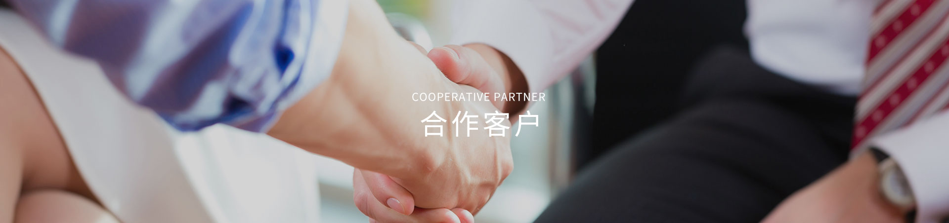 合作夥伴(bàn)