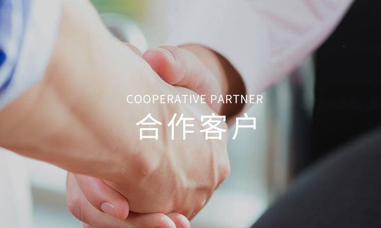 合作夥(huǒ)伴(bàn)