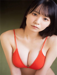 美国派3